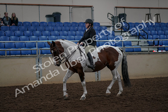 2019 Morgan Horse Show - Aug 30, 2019 - 31121