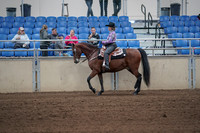 2019 Morgan Horse Show - Sept 01, 2019 - 06775