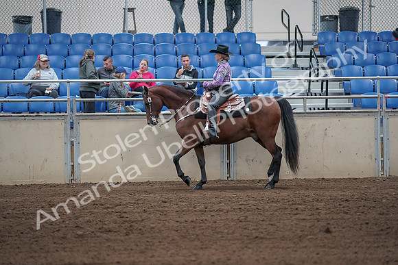 2019 Morgan Horse Show - Sept 01, 2019 - 06775