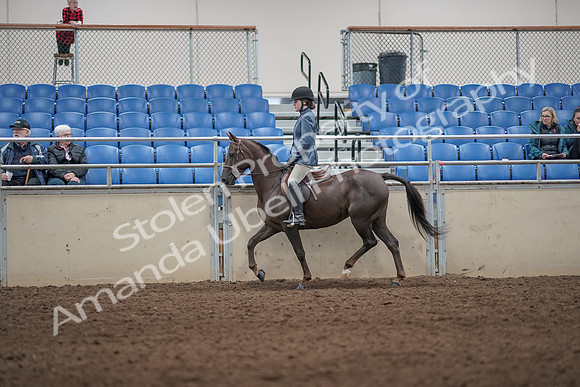 2019 Morgan Horse Show - Aug 31, 2019 - 07198