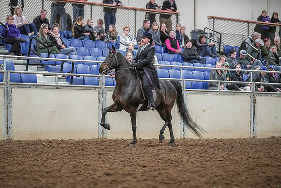 Spring Fling - Saturday - April 20, 2019  -  04294