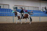 2019 Morgan Horse Show - Aug 30, 2019 - 14851