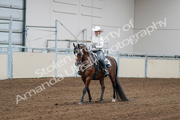 2020 - AB Morgan Horse - Sat, Sept 05 - 08996