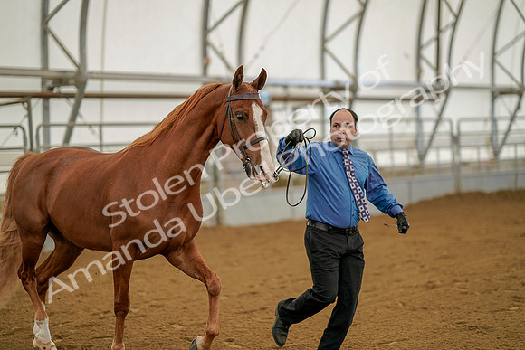 July 19, 2019 - 928