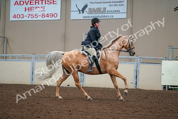 2019 Morgan Horse Show - Aug 30, 2019 - 16430