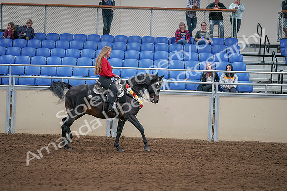 2020 - AB Morgan Horse - Sat, Sept 05 - 10536