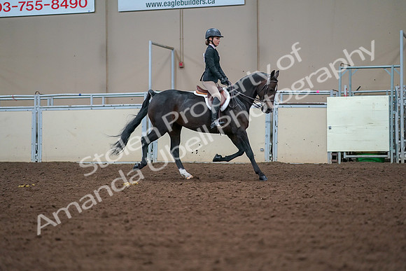 2019 Morgan Horse Show - Aug 30, 2019 - 20770