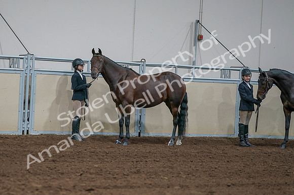 2020 - AB Morgan Horse - Fri, Sept 04 - 00853