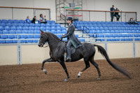 2020 - AB Morgan Horse - Fri, Sept 04 - 05330