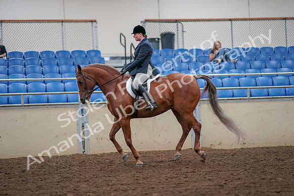 2019 Morgan Horse Show - Aug 30, 2019 - 16312