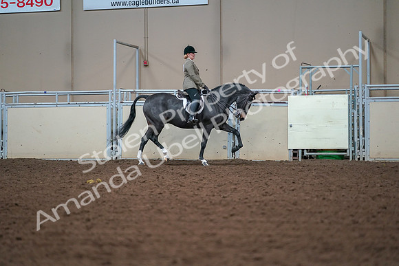 2019 Morgan Horse Show - Aug 30, 2019 - 20717