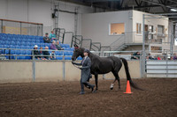 2019 Morgan Horse Show - Aug 31, 2019 - 02105