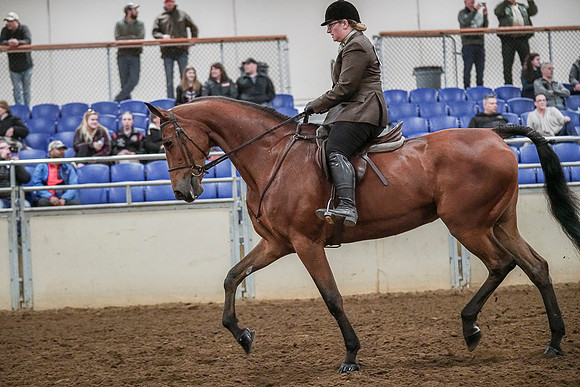 Spring Fling - Saturday - April 20, 2019  -  04606