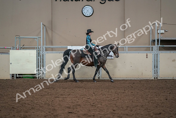 2019 Morgan Horse Show - Aug 30, 2019 - 26138