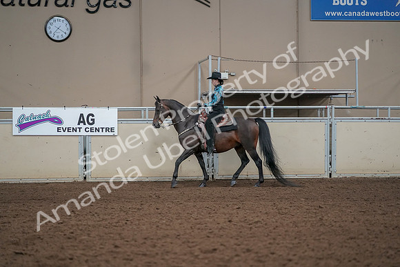 2019 Morgan Horse Show - Aug 30, 2019 - 25969