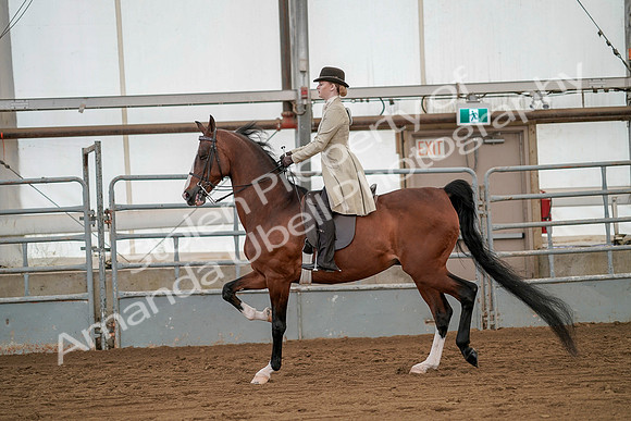 July 20, 2019 - 02081