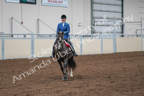2020 - AB Morgan Horse - Sat, Sept 05 - 05251
