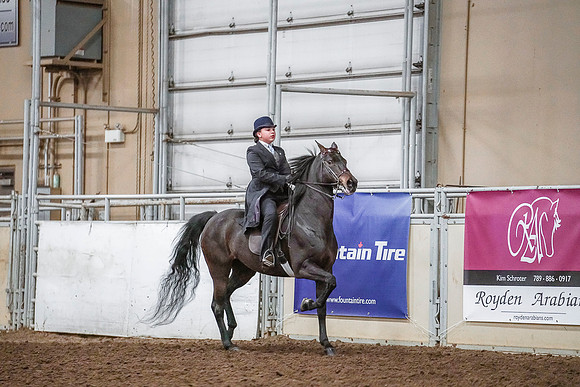 Spring Fling - Saturday - April 20, 2019  -  04203