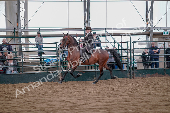 July 20, 2019 - 13875