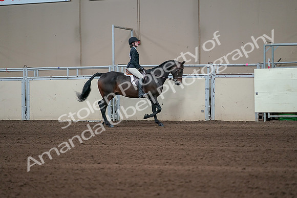 2019 Morgan Horse Show - Sept 01, 2019 - 03791