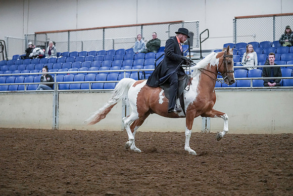 Spring Fling - Saturday - April 20, 2019  -  00769