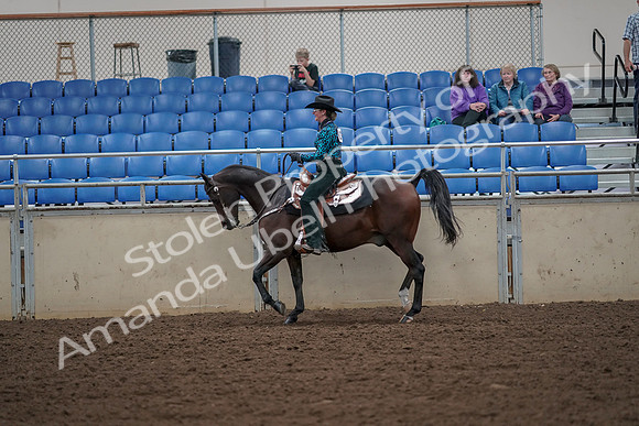 2019 Morgan Horse Show - Aug 30, 2019 - 25917