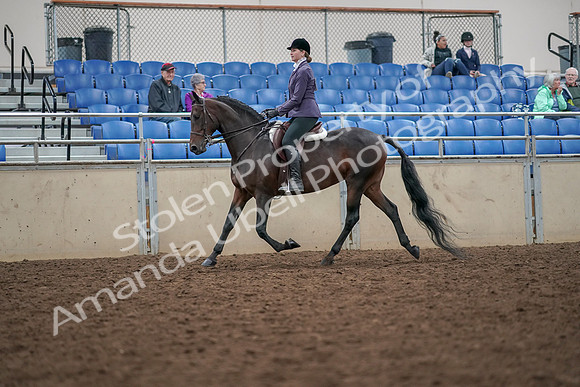 2019 Morgan Horse Show - Aug 30, 2019 - 20138