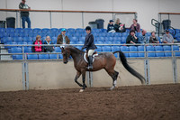 2019 Morgan Horse Show - Aug 31, 2019 - 15851