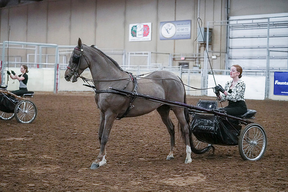 Spring Fling - Saturday - April 20, 2019  -  00302
