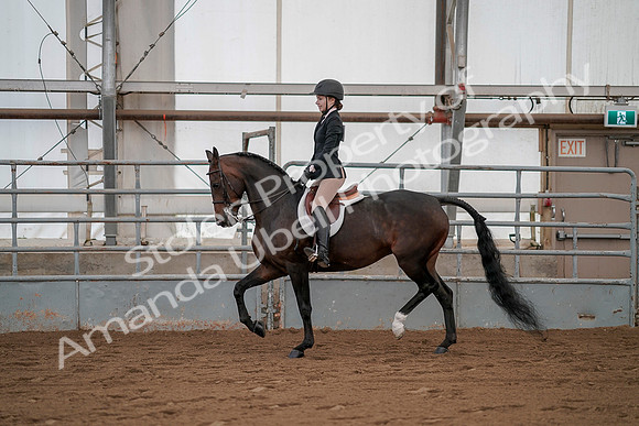 July 19, 2019 - 2273