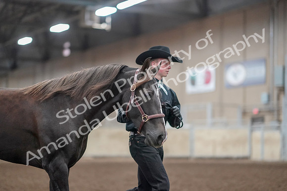 2019 Morgan Horse Show - Aug 31, 2019 - 01917