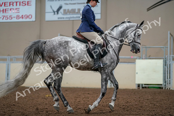 2019 Morgan Horse Show - Aug 30, 2019 - 22464