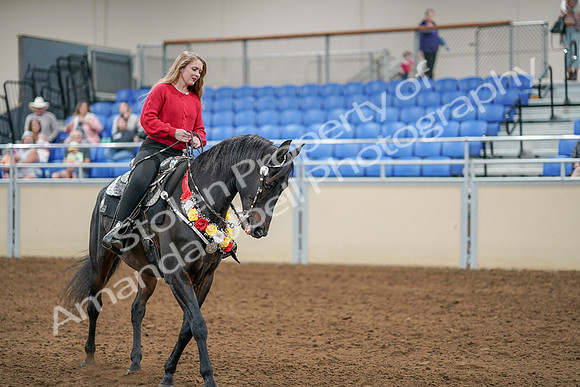 2020 - AB Morgan Horse - Sat, Sept 05 - 10439