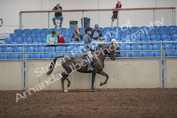2019 Morgan Horse Show - Aug 31, 2019 - 07408