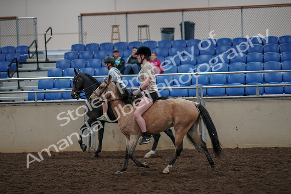 2019 Morgan Horse Show - Aug 30, 2019 - 31240
