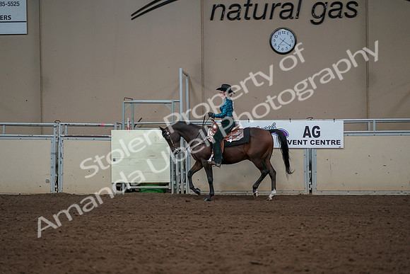 2019 Morgan Horse Show - Aug 30, 2019 - 26024
