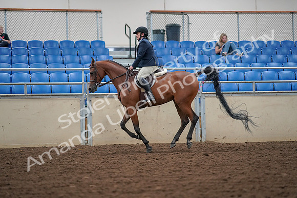 2019 Morgan Horse Show - Aug 30, 2019 - 16367