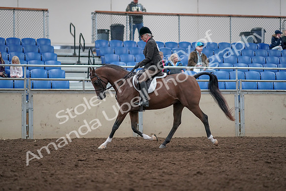 2019 Morgan Horse Show - Aug 31, 2019 - 15893