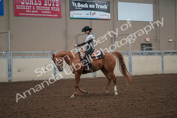 2019 Morgan Horse Show - Aug 30, 2019 - 26046