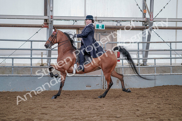 July 20, 2019 - 13915