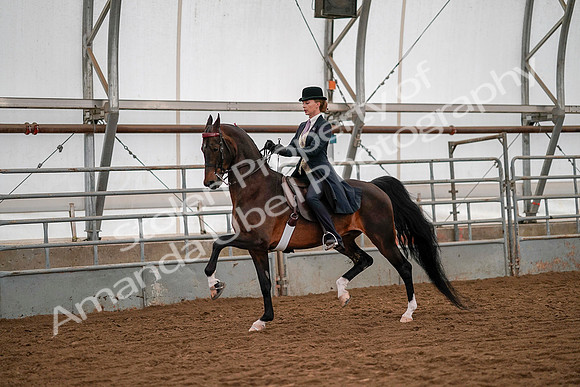 July 19, 2019 - 10529