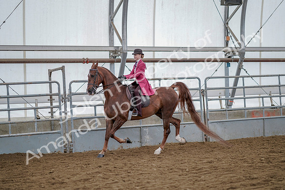 July 20, 2019 - 14488