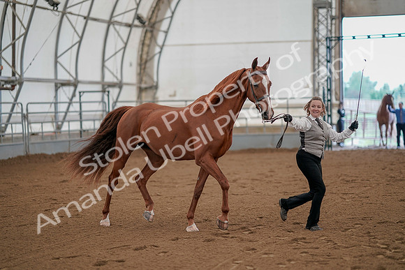 July 19, 2019 - 873