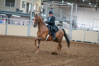2020 - AB Morgan Horse - Sat, Sept 05 - 09379