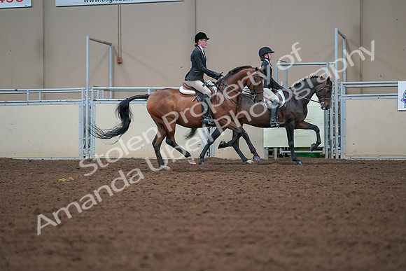2019 Morgan Horse Show - Aug 30, 2019 - 21007