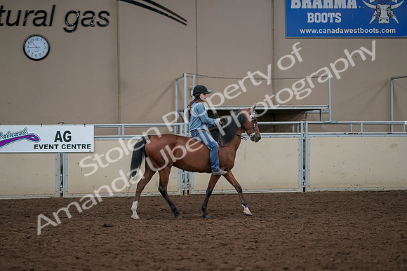 2019 Morgan Horse Show - Aug 30, 2019 - 31423