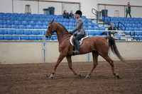 2019 Morgan Horse Show - Sept 01, 2019 - 12161