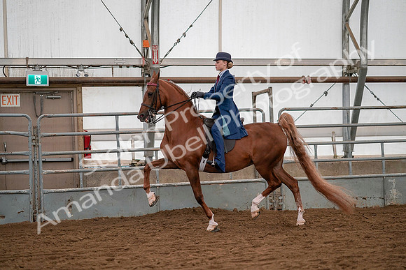 July 19, 2019 - 10373