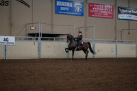 2019 Morgan Horse Show - Aug 30, 2019 - 28293