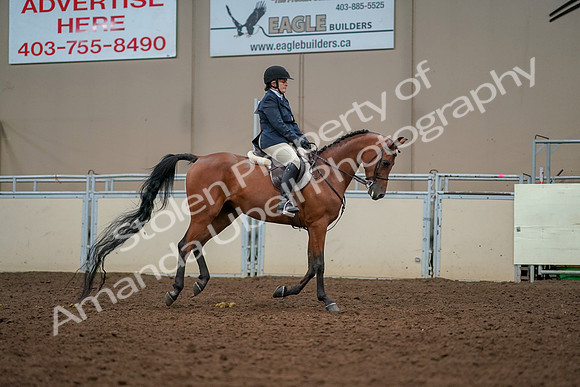 2019 Morgan Horse Show - Aug 30, 2019 - 22498